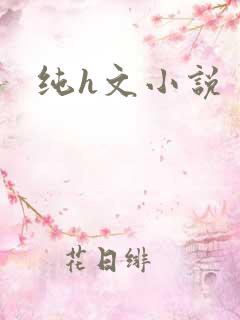 纯h文小说