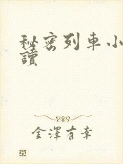 秘密列车小说阅读