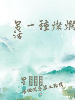 另一种灿烂的生活