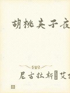 胡桃夹子夜未眠