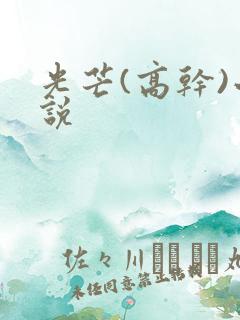 光芒(高干)小说