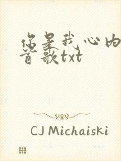 你是我心内的一首歌txt