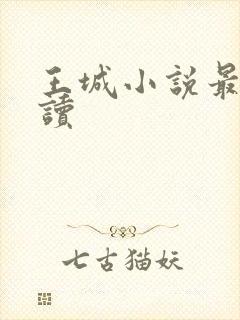 王城小说最近阅读