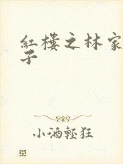红楼之林家庶长子