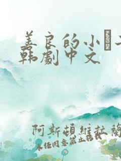 善良的小峓子2韩剧中文