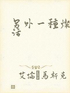 另外一种灿烂生活