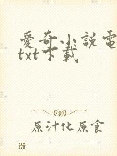 爱奇小说电子书txt下载