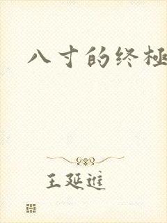 八寸的终极凶器