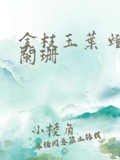 金枝玉叶 灯火阑珊