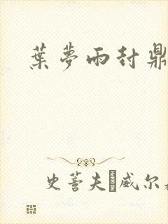 叶梦雨封鼎小说