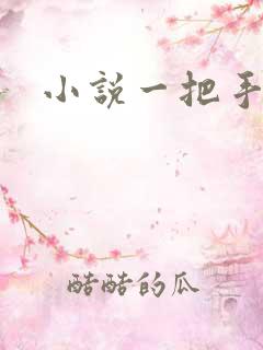 小说一把手