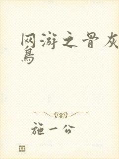 网游之骨灰级菜鸟