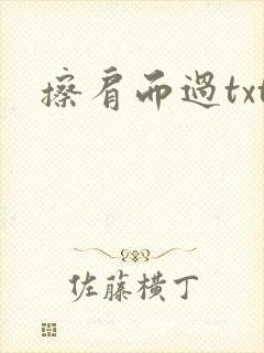 擦肩而过txt