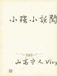 小强小说阅读网