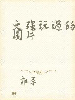 文强玩过的女人图片