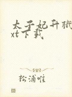 太子妃升职记txt下载