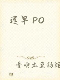 迟早 PO