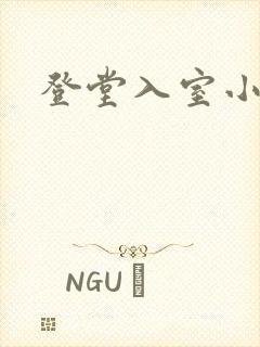 登堂入室小说