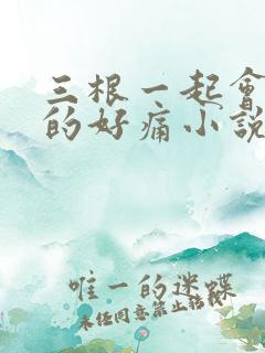 三根一起会坏掉的好痛小说