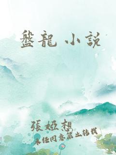 盘龙 小说