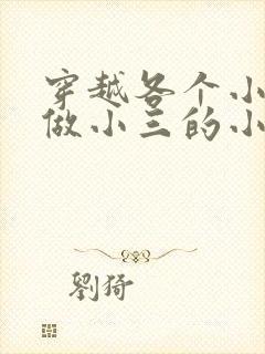 穿越各个小世界做小三的小说