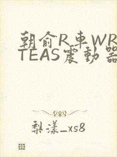 朝俞R车WRITEAS震动器