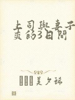 上司与妻子干到爽的3日间