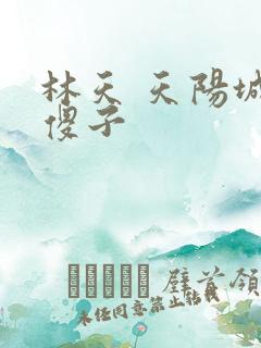 林天 天阳城 傻子