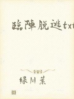 临阵脱逃txt