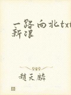 一路向北txt新浪