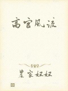 高官风流