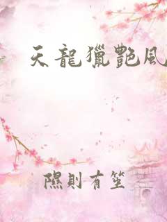 天龙猎艳风流