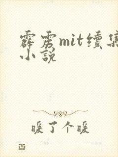 霹雳mit续集小说