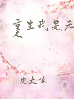 重生我是元帅夫人