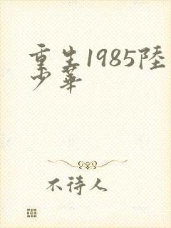 重生1985陆少华