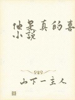 他是真的喜欢你小说