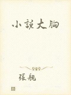 小说大胸