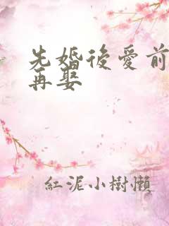 先婚后爱前妻难再娶