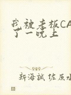 我被老板CAO了一晚上