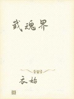 武魂界