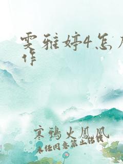 雯雅婷4怎么操作