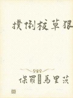 扑倒校草狠狠亲