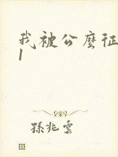 我被公么征服了1