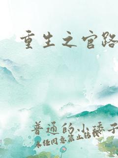 重生之官路情长
