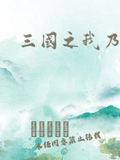 三国之我乃曹昂