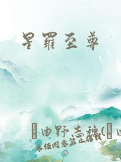 星罗至尊
