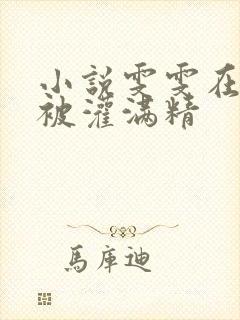 小说雯雯在工地被灌满精