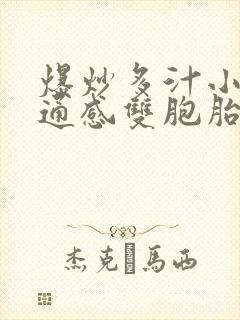 爆炒多汁小美人通感双胞胎