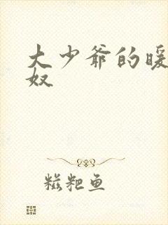 大少爷的暖床小奴