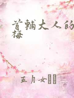 首辅大人的小青梅